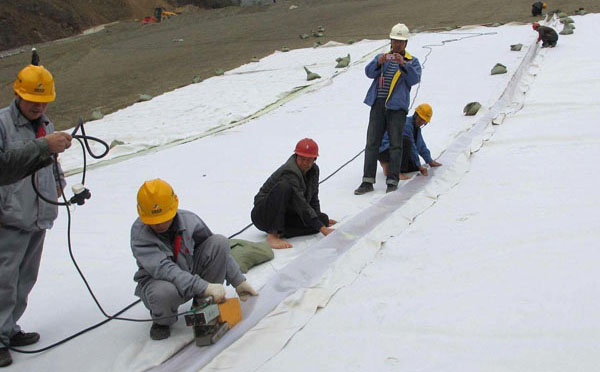 1635992471829645.jpg g18.jpg