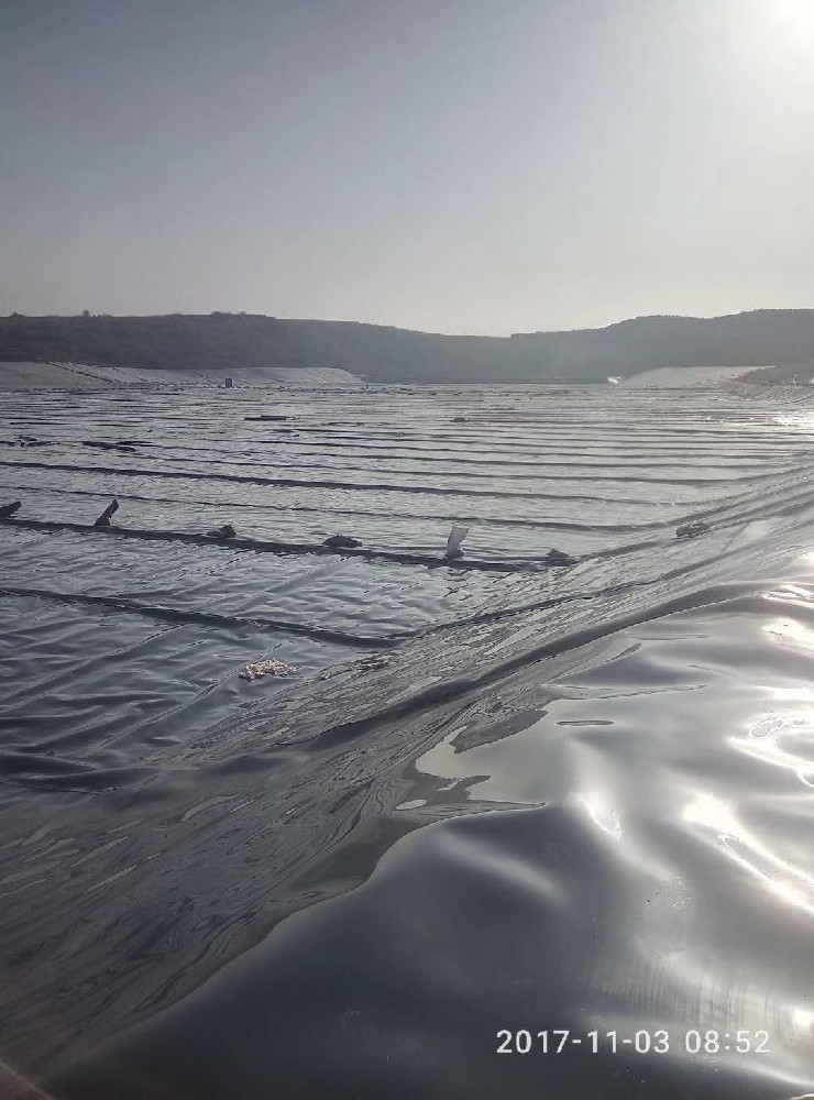 1681356081424166.jpg mmexport1553835182196.jpg